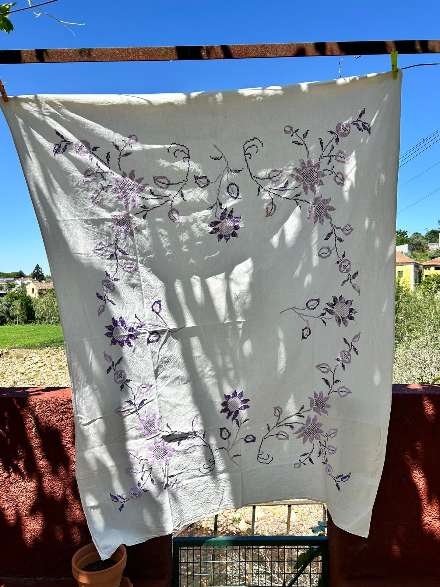 Violeta