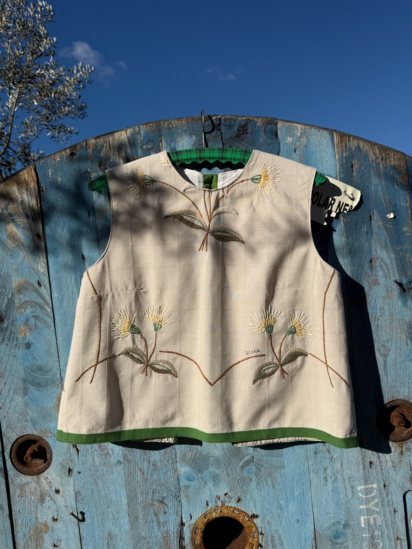 Um ramo de margaridas