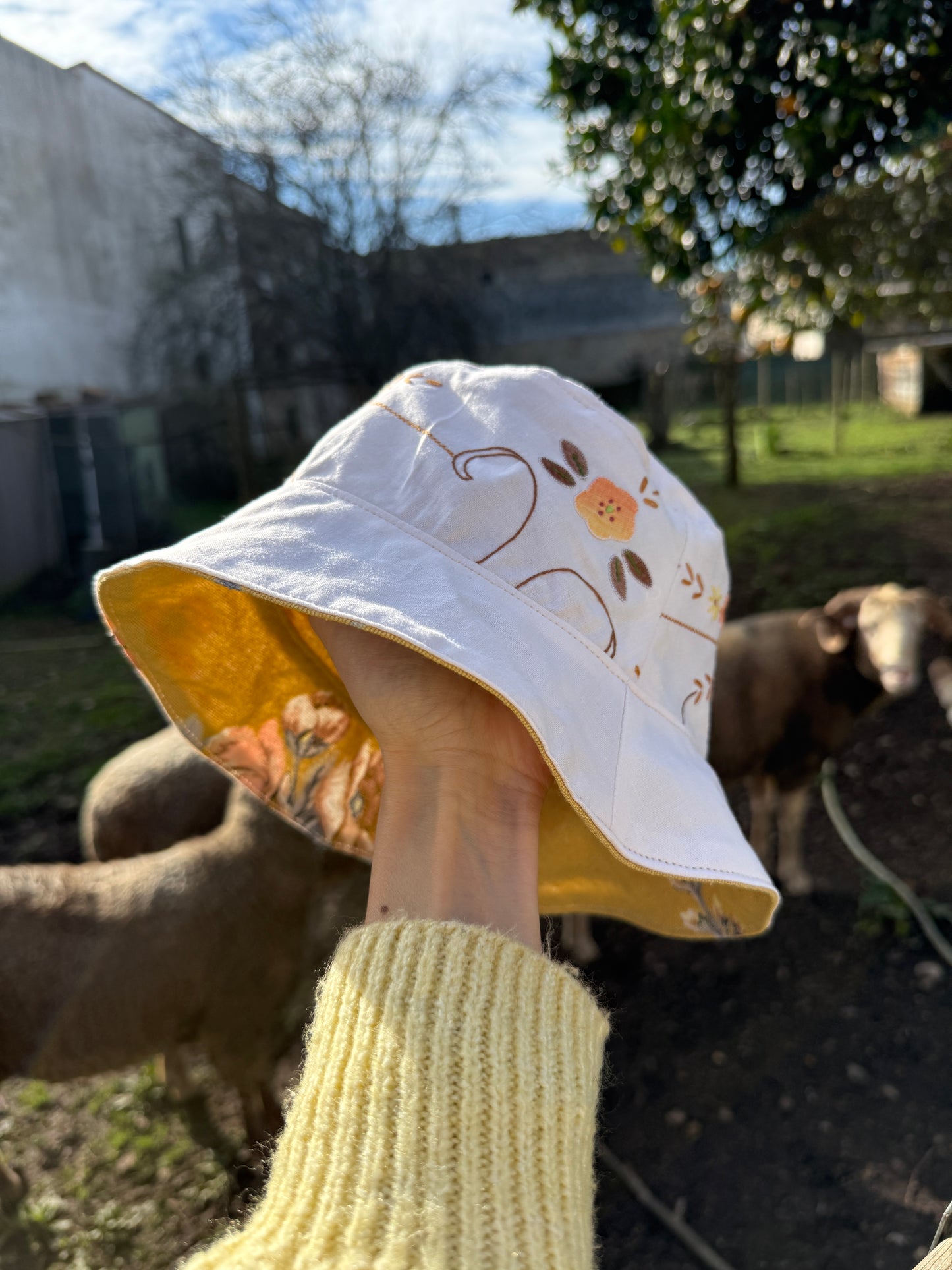 São Tuberárias, diz ele