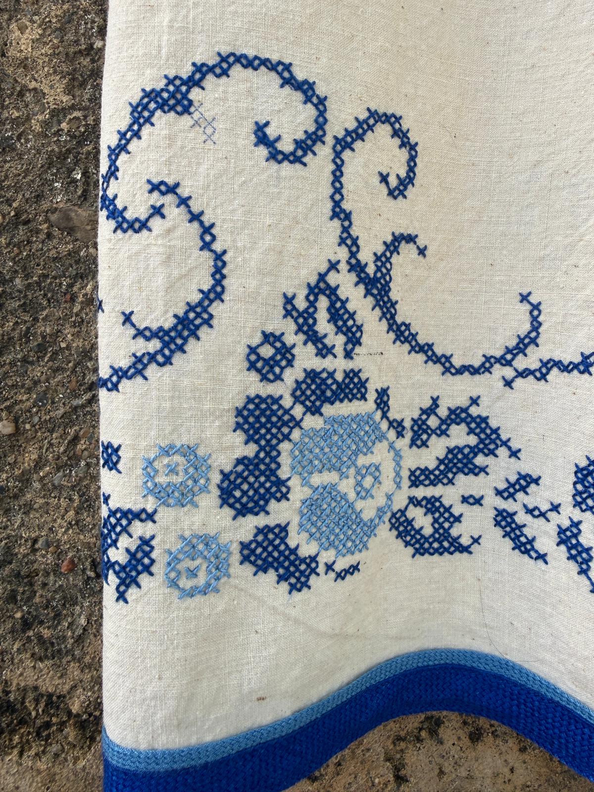 Passarinho que acompanha morcego acorda de cabeça para baixo